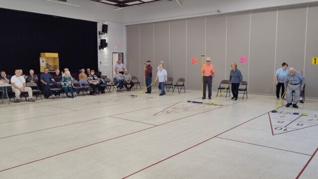 Jeu de palet (shuffleboard)